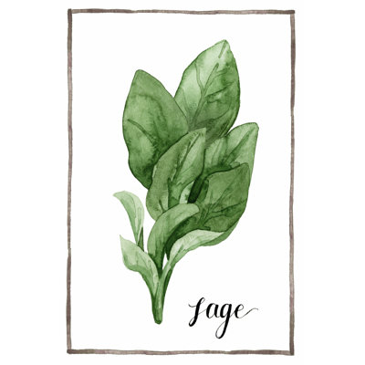 Watercolour Herbs VI by Grace Popp - Wrapped Canvas Art Prints