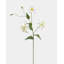 White Gloriosa Lily 41"