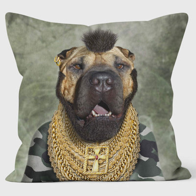 Fool - Pets Rock Cushion