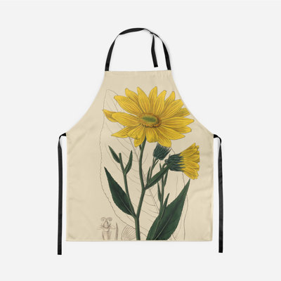 Helianthus - Botanical Aprons
