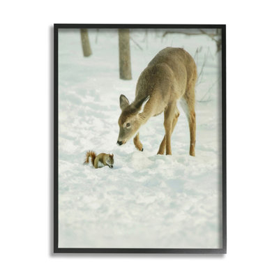 «Deer & Squirrel Snow Scene» encadré sur bois par Carrie Ann Grippo-Pike, photographie