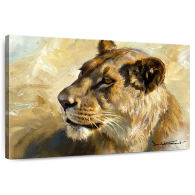 Étude de lionne