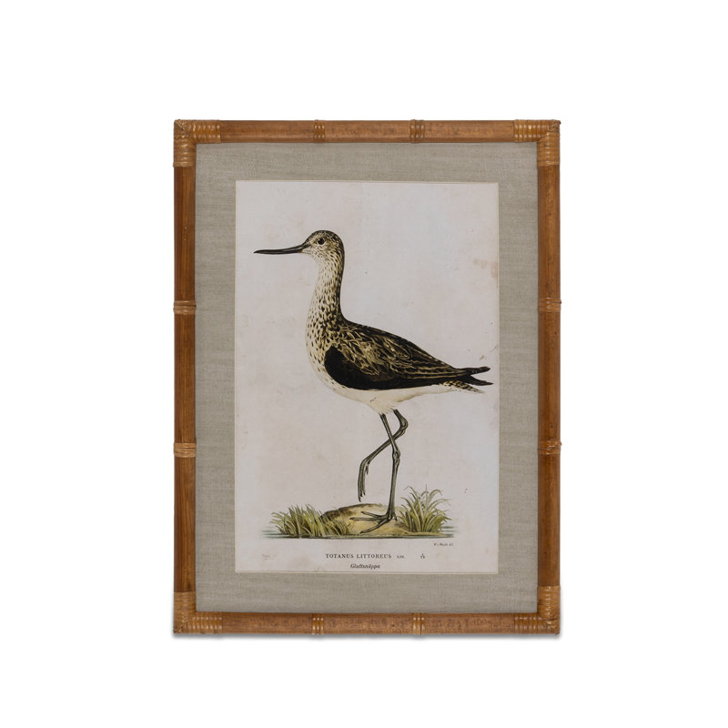 Wading Bird Prints, Set of 4