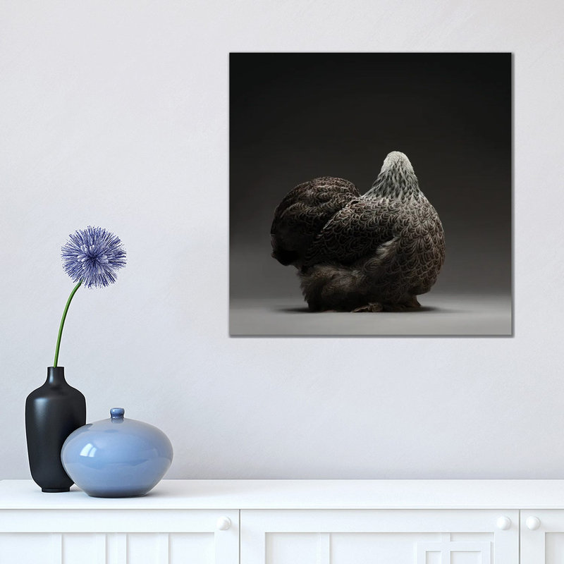 Cochin Bantam by CHICken - Wrapped Canvas Print, 45.72 cm H x 45.72 cm W x 1.91 cm D