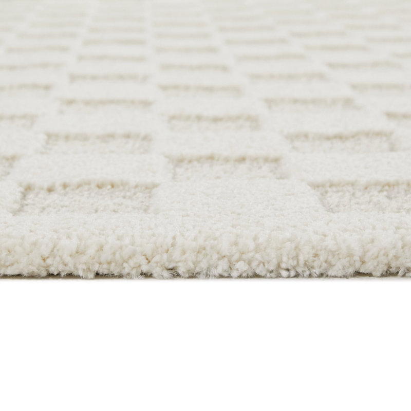 Auletta Checkered Machine Woven Rectangle Polyester/Polypropylene Area Rug in Cream, Rectangle  5'3" x 7'