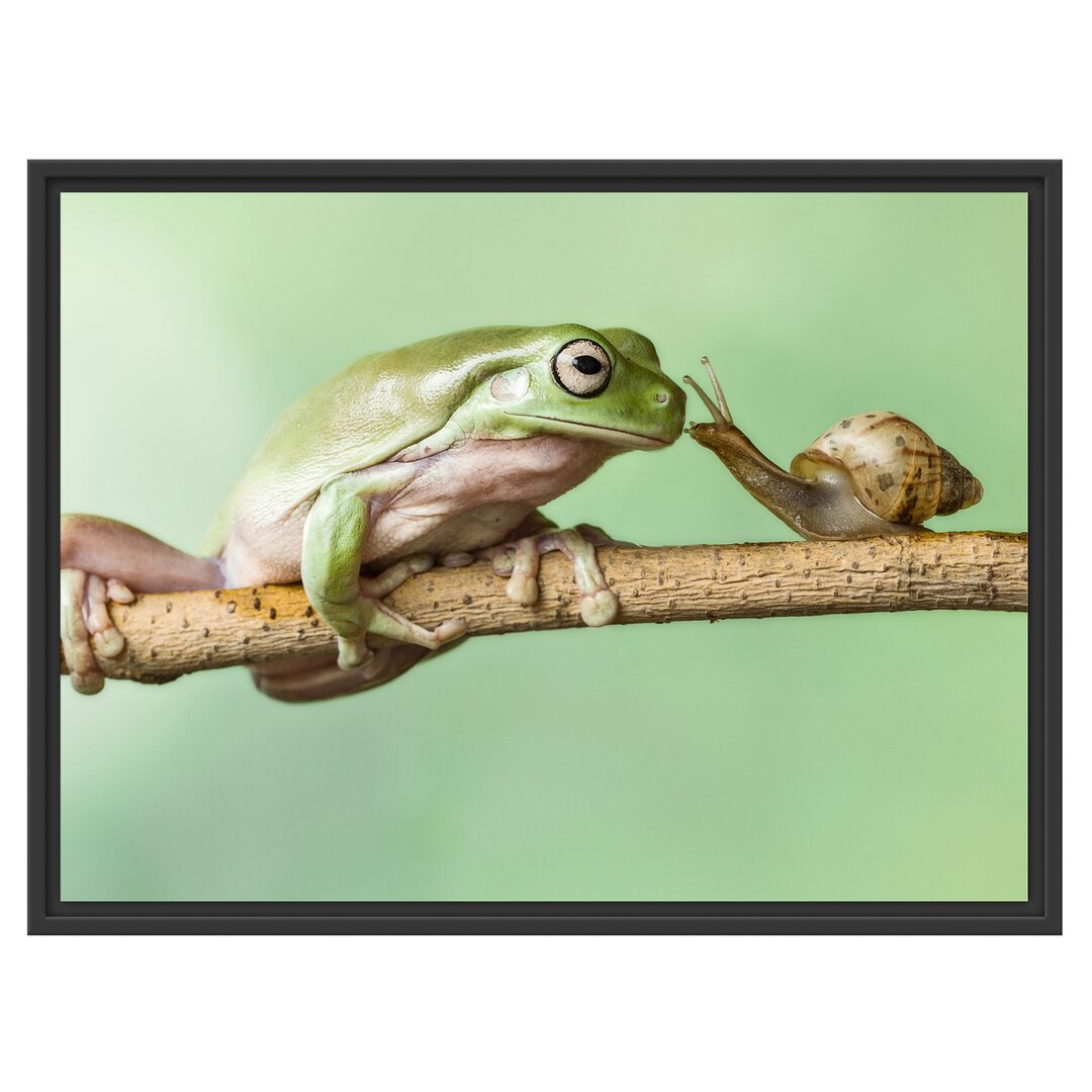 Gerahmtes Wandbild der Frosch und die Schnecke