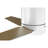 Reyka 44'' Ceiling Fan with LED Lights-1266215731