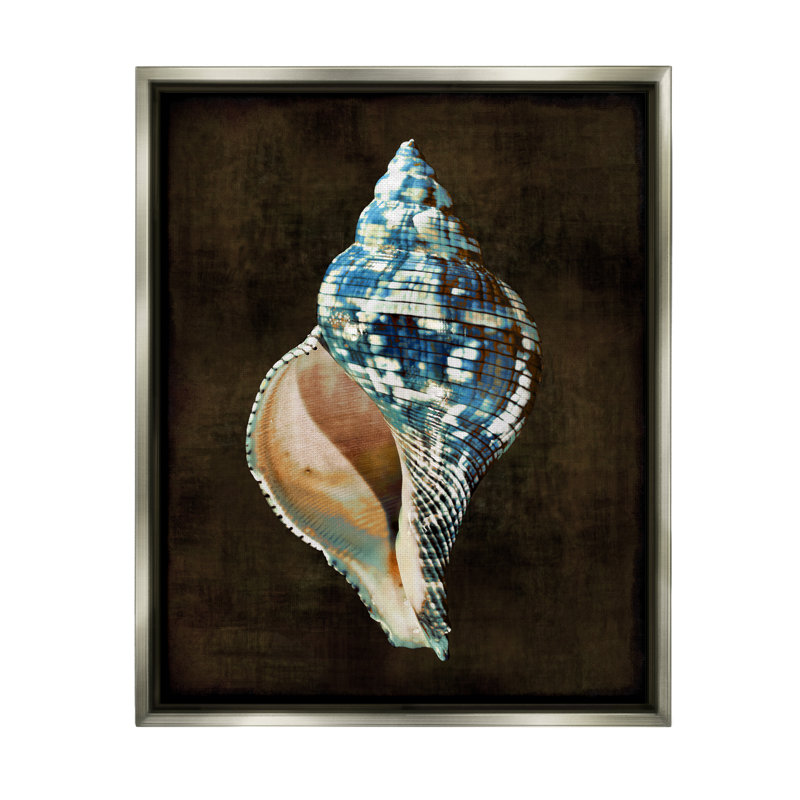 Conception d'art moderne sur toile flottante encadrée de coquillage moderne par Caroline Kelly, H 21 po x l 17 po x P 1,7 po