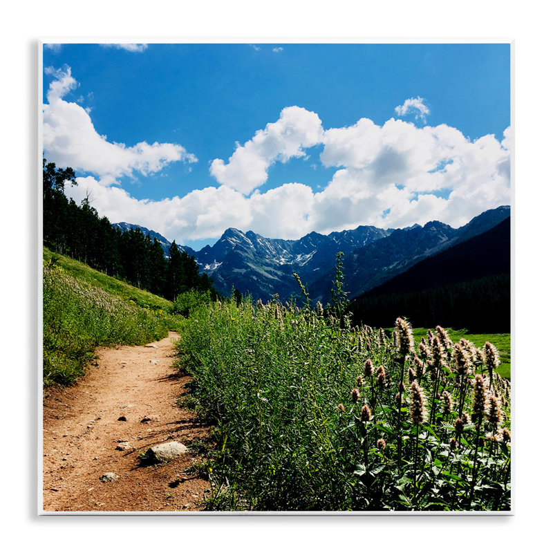 Lovely Path with Clouds Wall Plaque Art by Anna Coppel