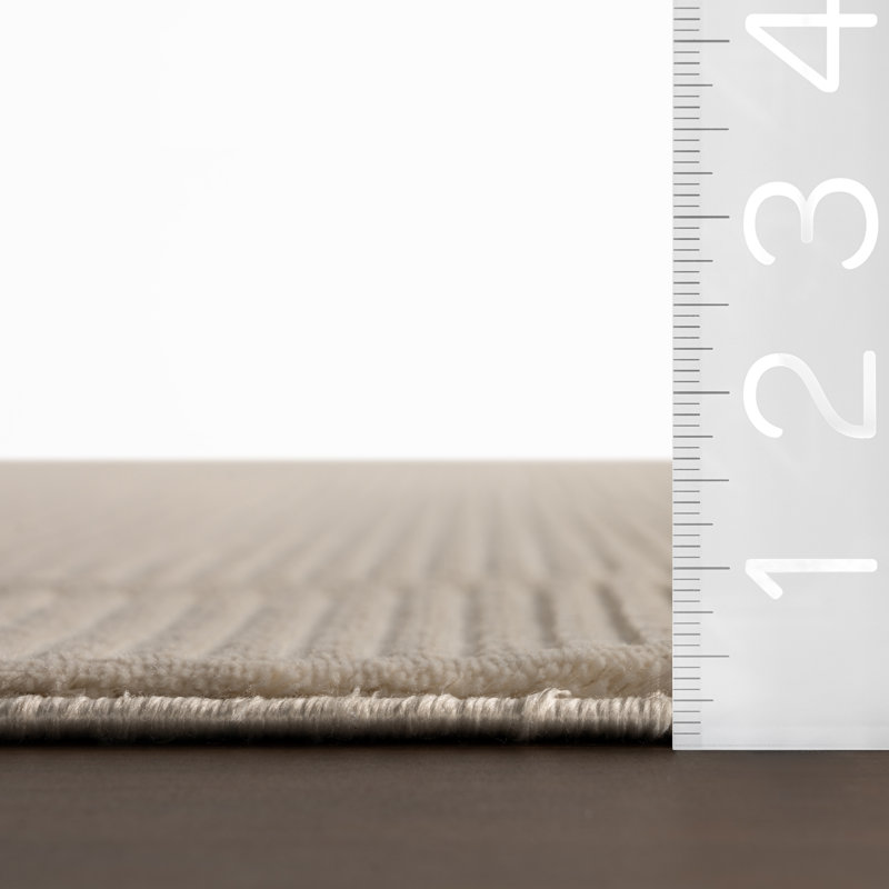  Evarielle Bordered Washable Area Rug, Rectangle 6'7" x 9'1", Ivory