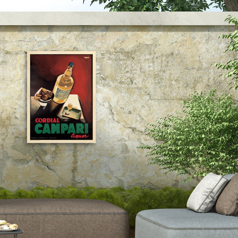 Toile d'extérieur Marcus Jules Campari, H 35 po x l 47 po