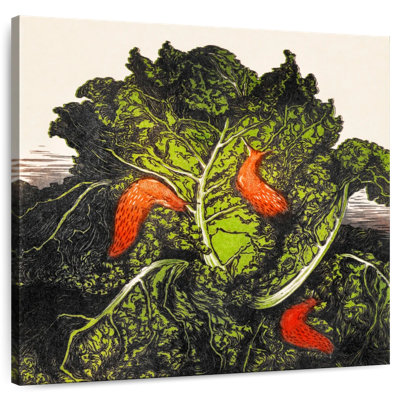 Yarlin Three Slugs On A Cabbage