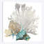 «Coral IV», impression sur toile-31803106-71546131