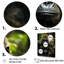 «Gorilla Serenity», photographie sur toile-518188394-518188433