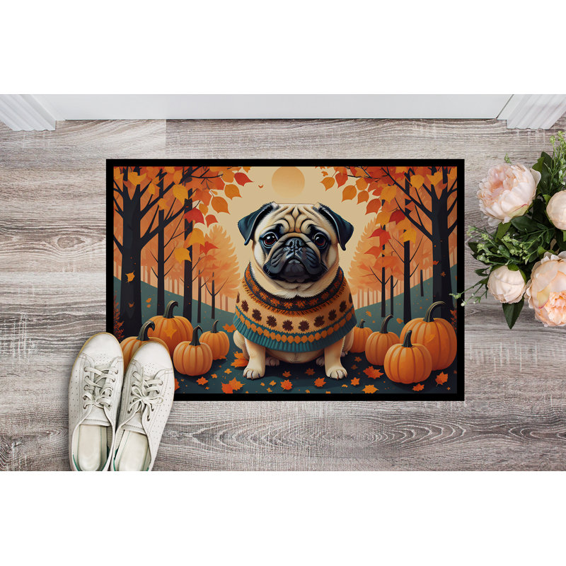 Cepheus Non-Slip Doormat, 24" W x 36" L