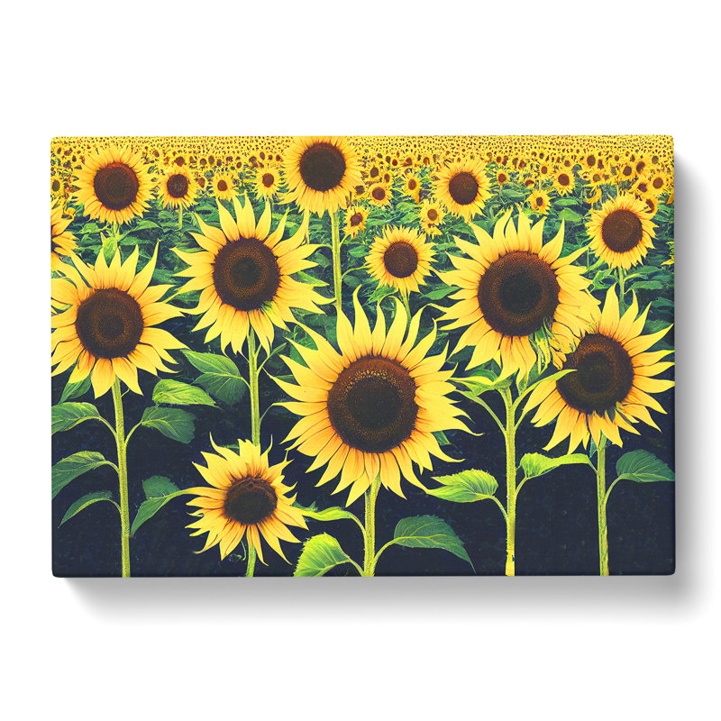 Phenomenal Sunflower Field - Wrapped Canvas, 50cm H x 76cm W x 3cm D