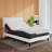 Channahon Adjustable Bed with Wireless Remote-457190386