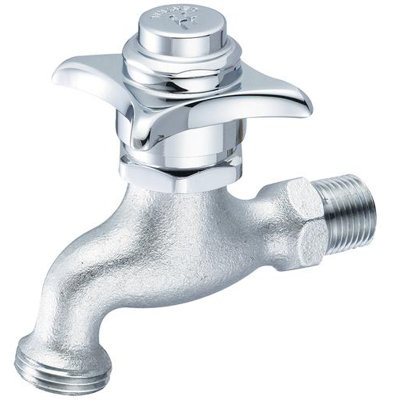 Wall Mount Garage Faucet