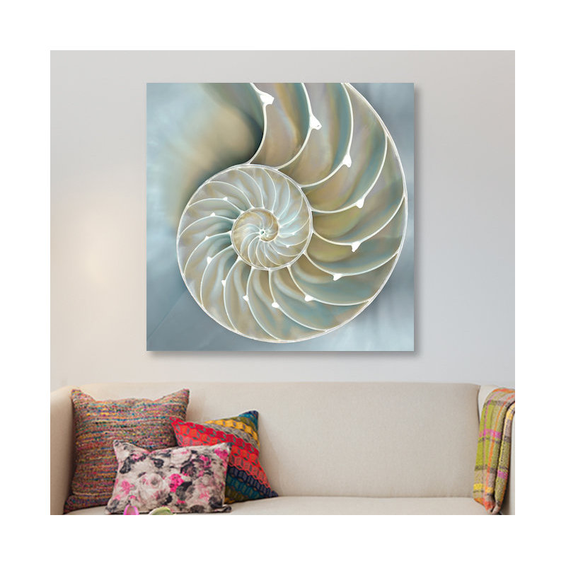 «Nautilus in Blue II», impression sur toile, H 18 po x l 18 po x P 1,5 po, Toile avec cadre noir, Pas de tapis