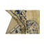 Oriental Area Rug