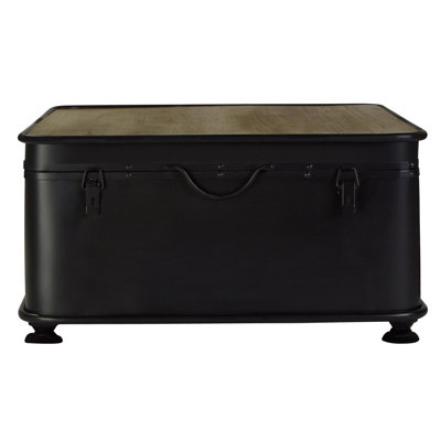 Shorney Accent Trunk