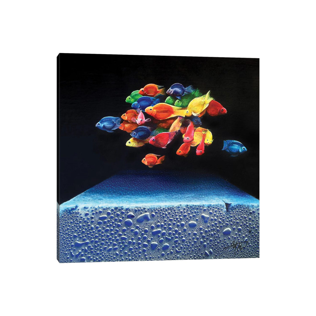 Coloured Fish by Michael Goldzweig - Wrapped Canvas Photograph