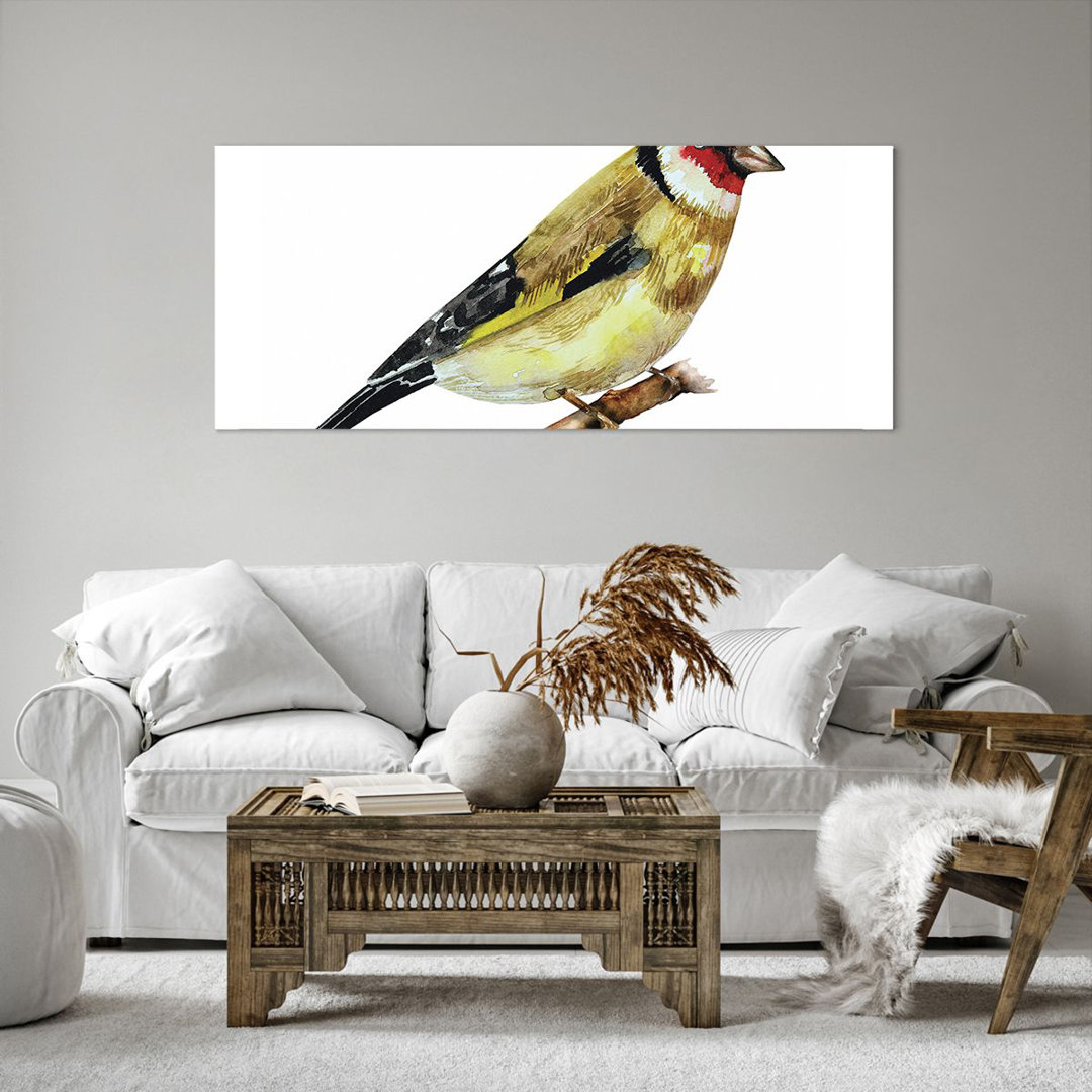 Leinwandbild Goldfinch Bird