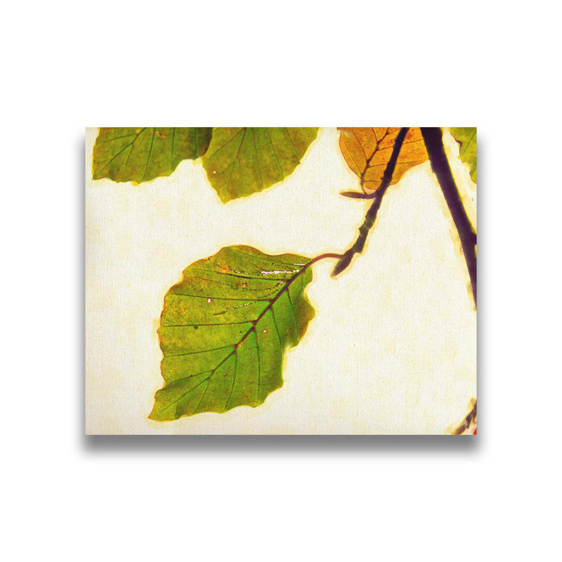 Gravure d'automne IV par Hal Halli. Estampe numérique, H 32 po x l 40 po, Toile tendue, Ne s’applique pas