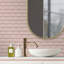 Edis 30.5cm W x 15.4cm L Vinyl Peel and Stick Subway Tile