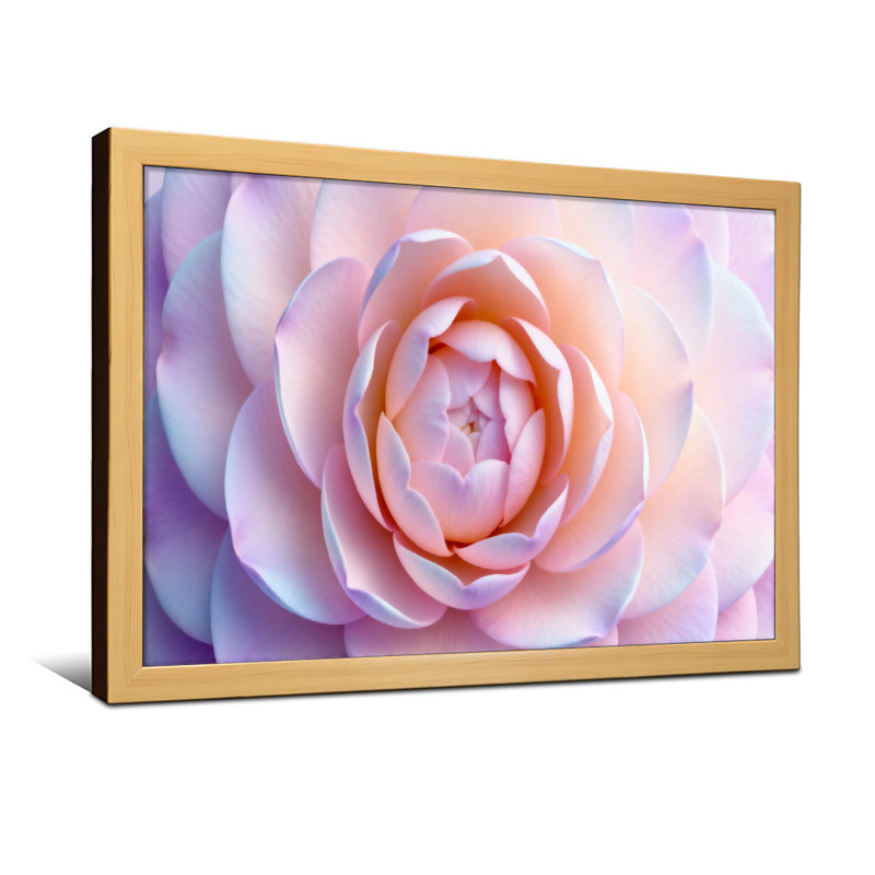 Plantes et fleurs, motif de fleurs rose pastel doux, Reproduction encadrée d'une seule photo sans pass, H 12 po x l 18 po
