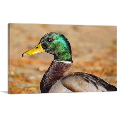 " Mallard Home Decor "