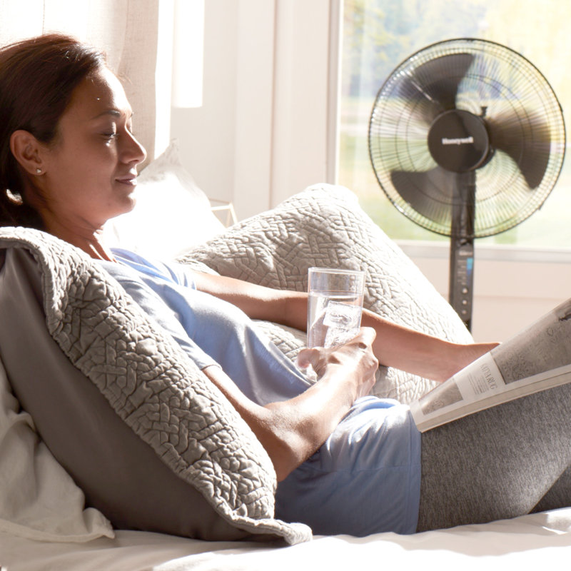 Quietset Oscillating Pedestal Fan