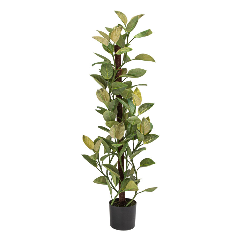 Faux pothos dorés dans un pot en plastique avec de la fausse mousse