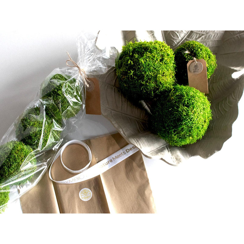 Preserved Moss Balls | Decorative Orbs & Vase Fillers (Set Of 6)