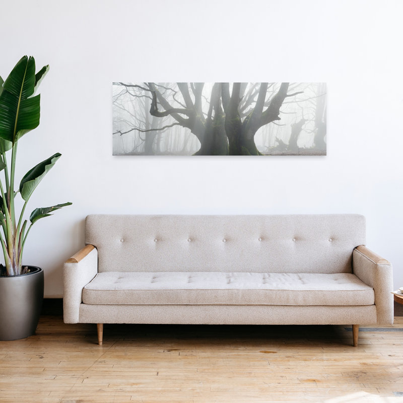 «Enchanted Misty Forest Ethereal Mystical Peaceful Moss Forest», art mural, H 16 po x l 48 po