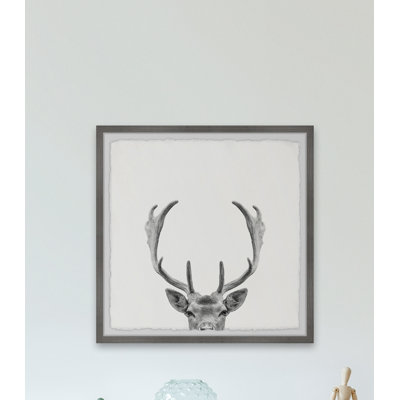 " Giant Antlers " by Maria Giovanni
