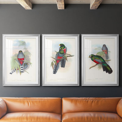 Gould Tropical Birds IV - reproduction encadrée sur mesure de qualité supérieure mate - 3 pièces
