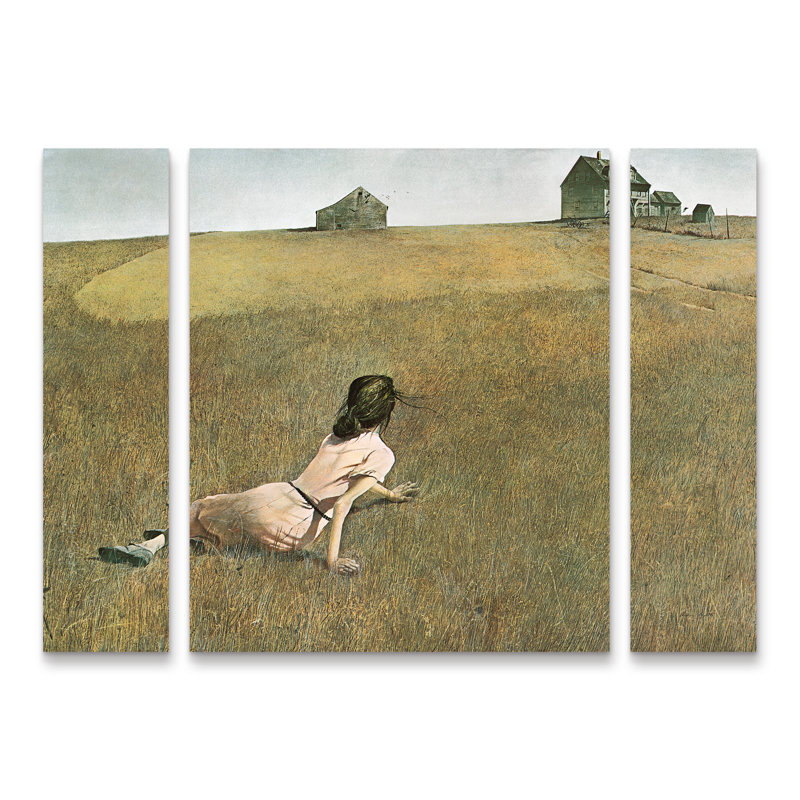 Andrew Wyeth «Christinas World», ensemble de 3 panneaux d'art, H 24 po x l 32 po x P 2 po