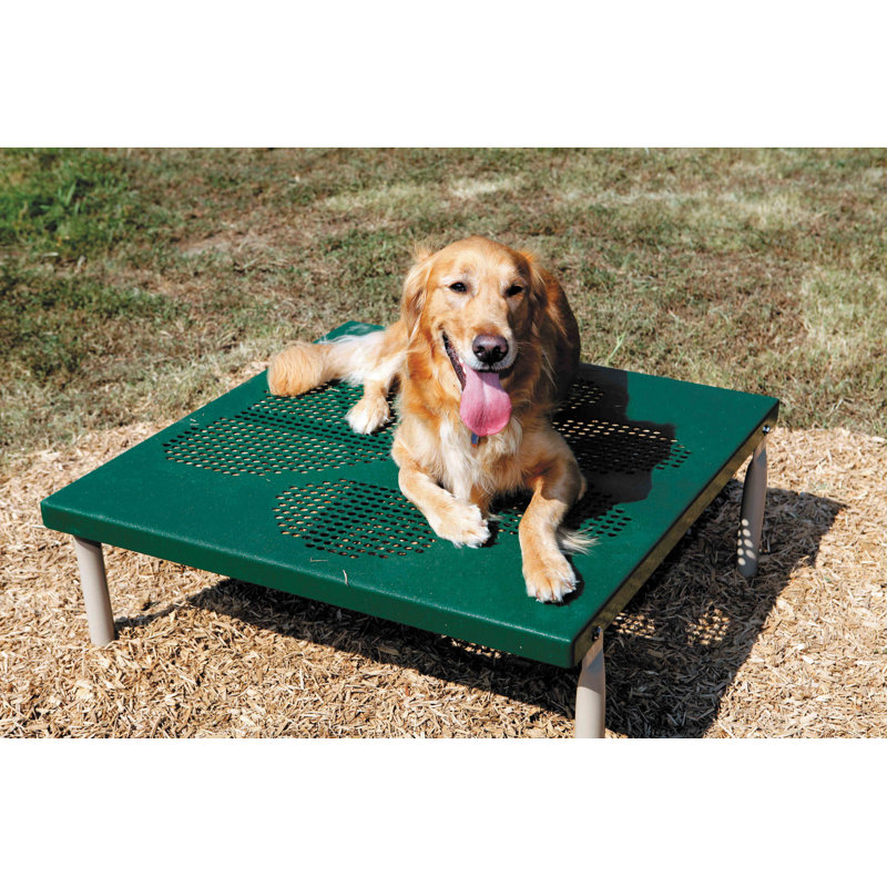 Table de pattes Pollitt