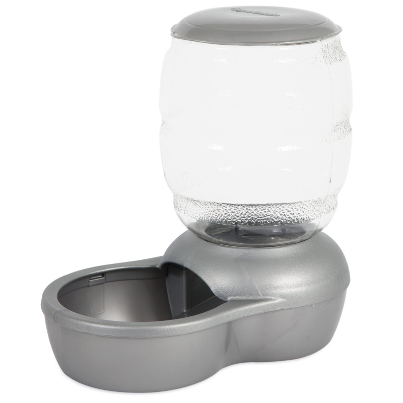 Automatic Feeder, Gray, Small (4 cups / 32 fluid oz)