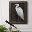 White Heron Portrait II, toile encadrée de qualité supérieure - prête à être accrochée-847946321