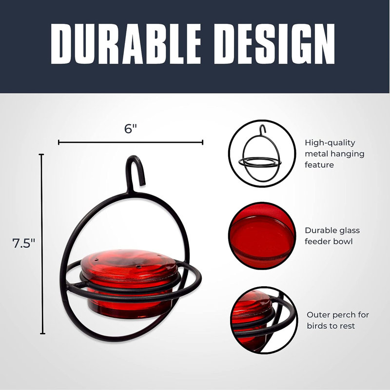 Circular Red Glass and Black Metal Hanging Hummingbird Feeder