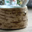 Christmas Snow Globe