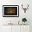 Magical Autumn Forest in Germany - Picture Frame Painting Print-56735534-56735531