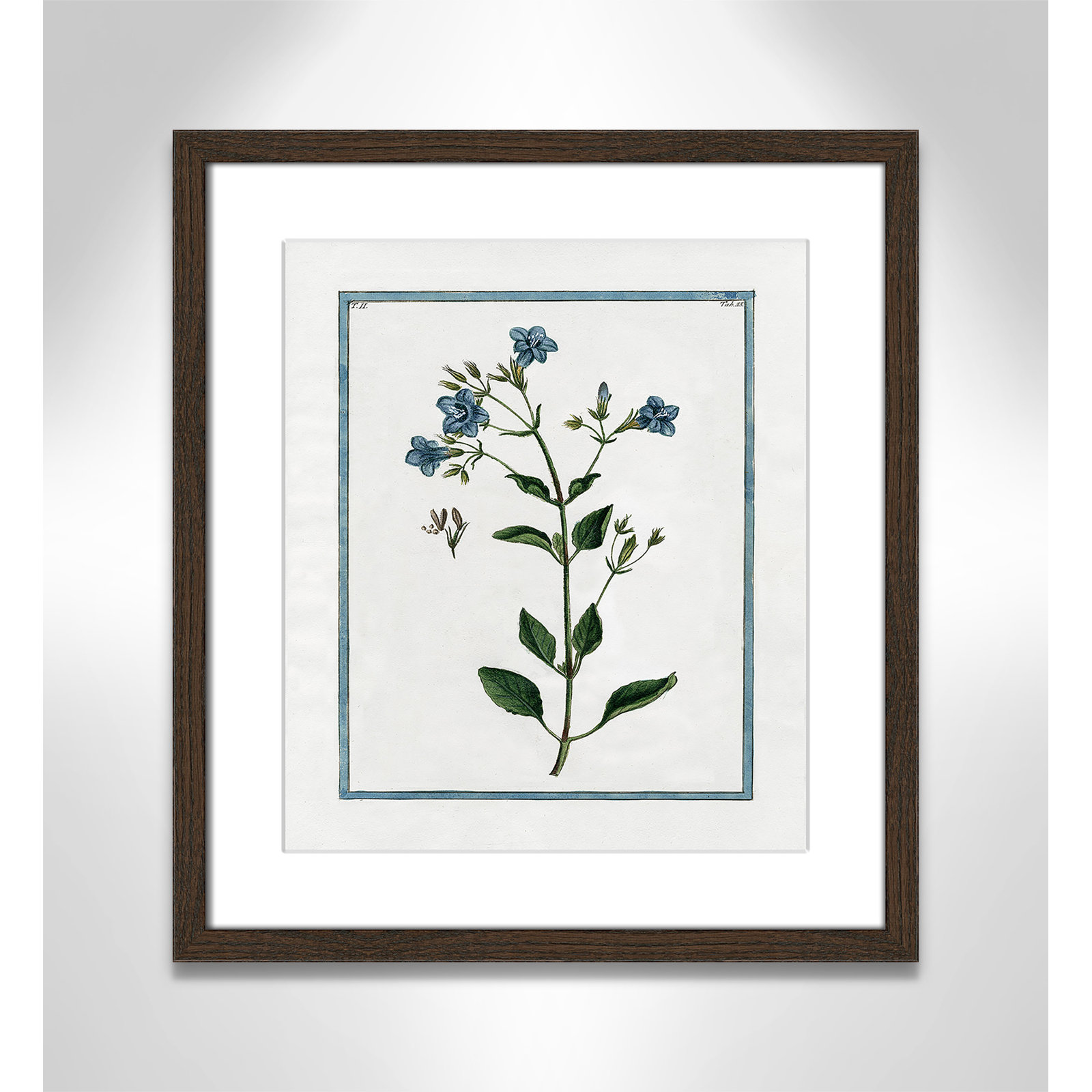 Shabby Elegance Botanical II - Framed Art, 13" W x 15" H, Walnut Framed