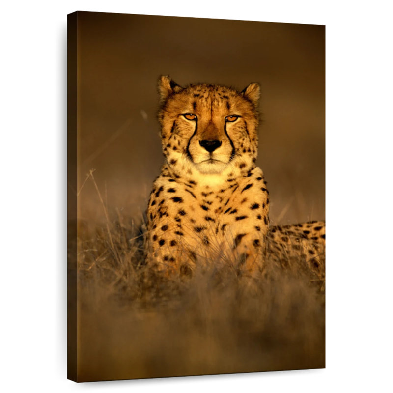 Cheetah Wild Cat, 12" H x 8" W