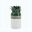 Grand vase en ananas en céramique ombré vert et blanc 9,8 ", grand vase décoratif en forme d'ananas