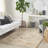 Sandy Indoor / Outdoor Rug-95545119