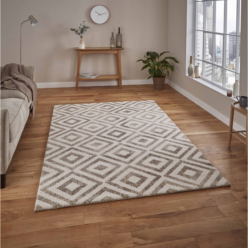 Swartz area rug Machine Woven Rectangle Beige, Rectangle 120 x 170cm