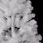 Artificial Christmas Tree-474803662